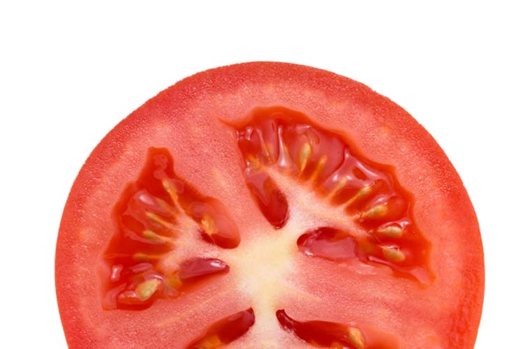 Flavor Foundation Image