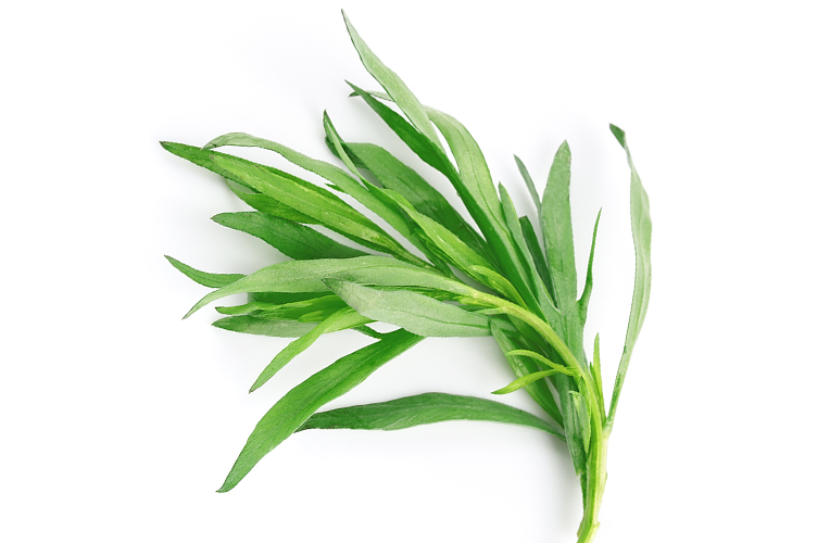 Flavor Foundation Image